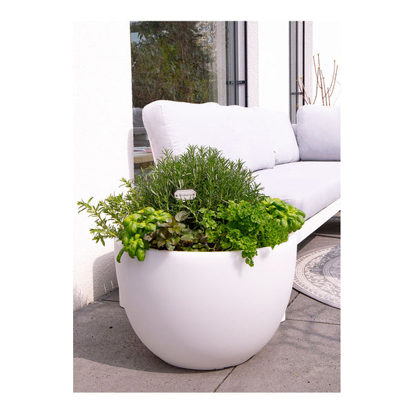 Beleuchteter Blumentopf XM bepflanzt