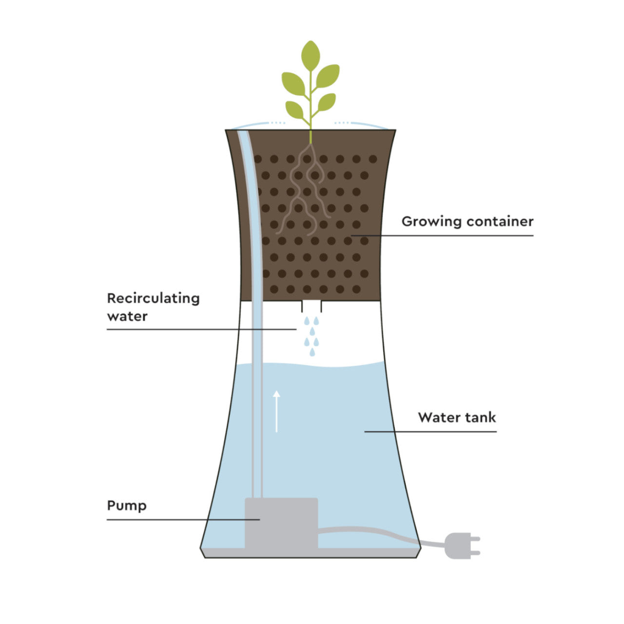 Schema des Botanium Hydroponik-Kräutergartens mit Pumpe und Wassertank.