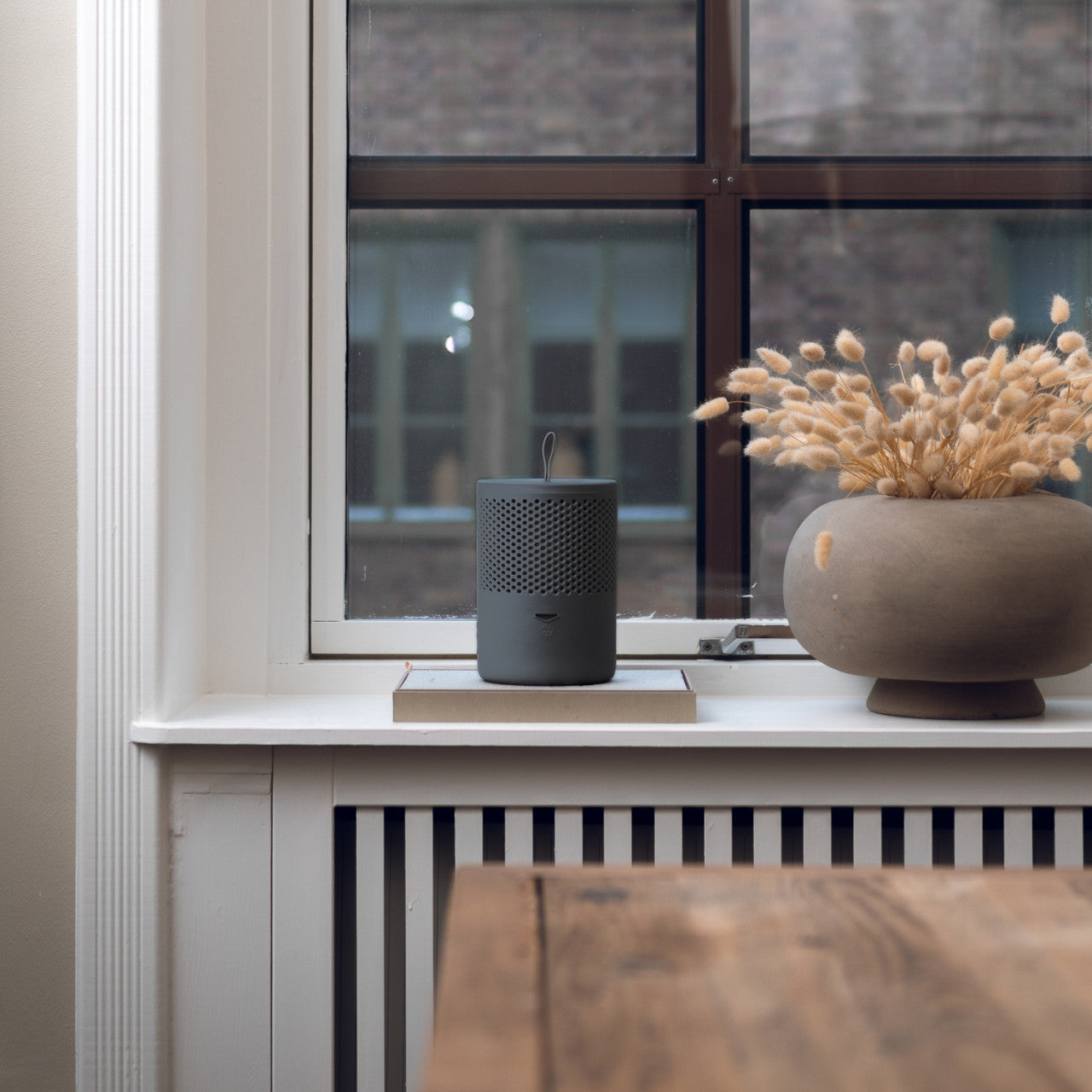 Raumentfeuchter Absodry Duo Family Series 6, grau mit Trockenblumen am Fenster.