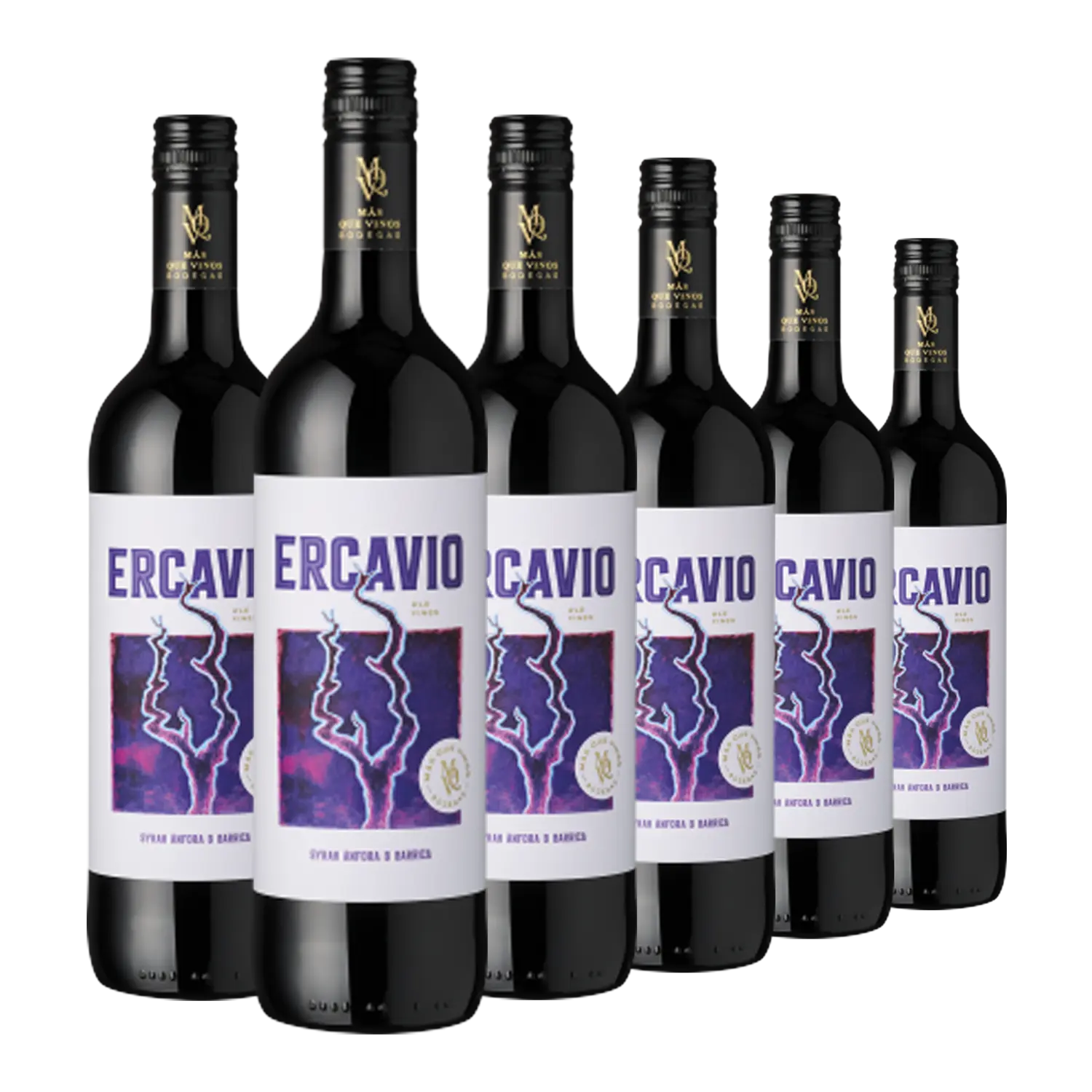 Sechs Flaschen "Ercavio" Syrah Anfora Barrica mit lila und weißen Etiketten.