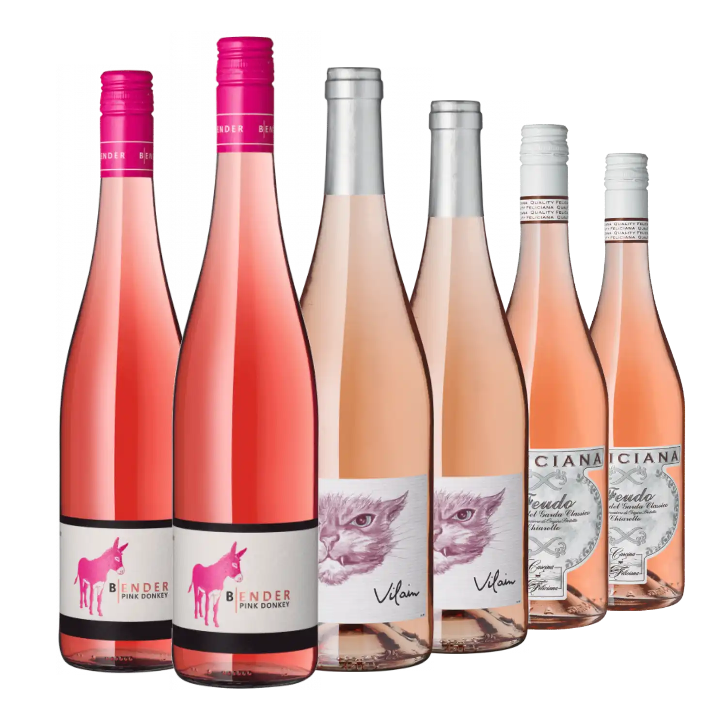 Sechs Flaschen 2025 Rosé-Weine des neuen Jahrgangs in verschiedenen Nuancen.
