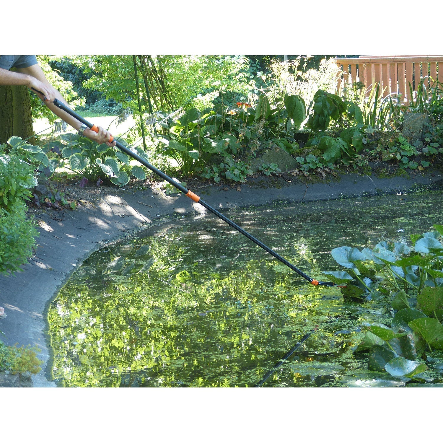 Person trimmt Pflanzen an einem Teich mit einer Rosenschere mit langem Stiel.