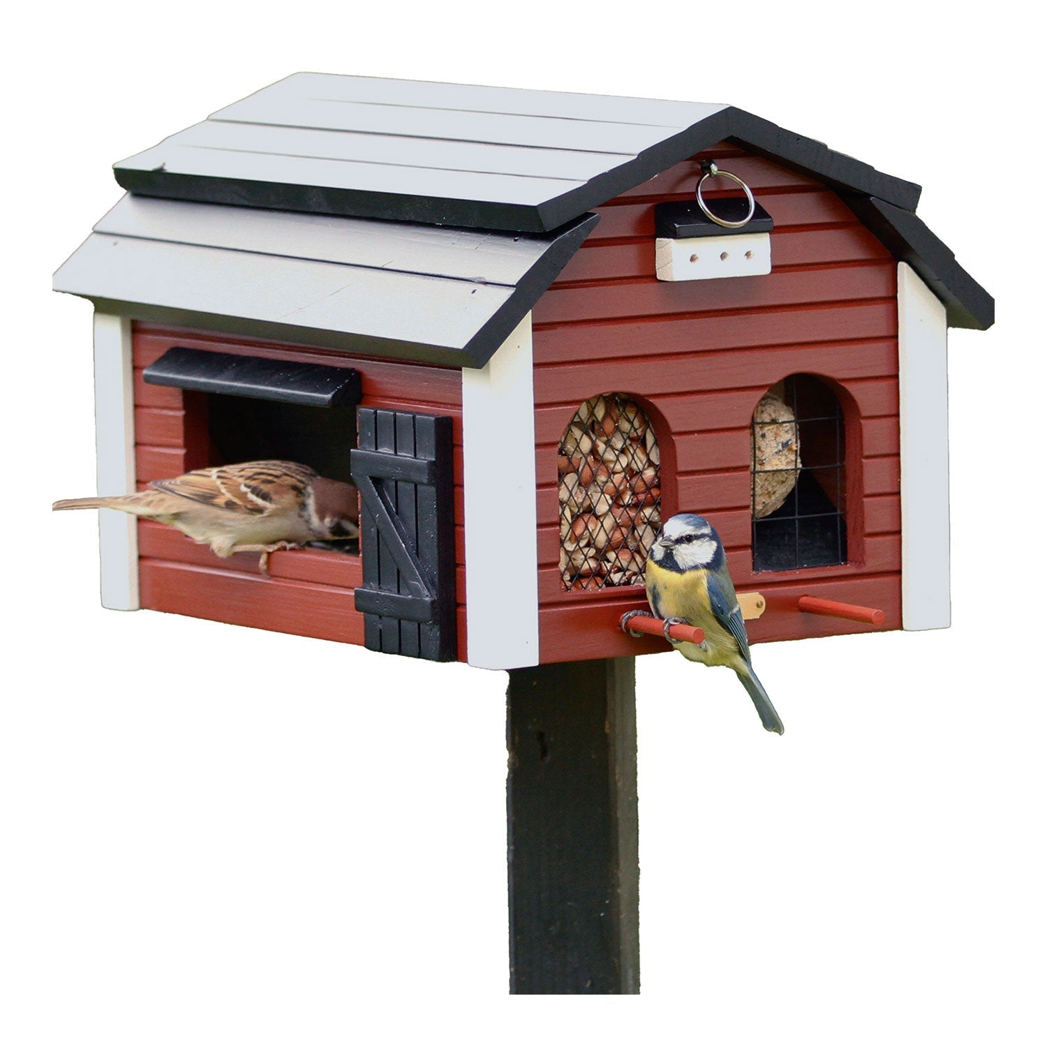 Das Große Vogelhaus aus Holz ist ein rot-weißes, scheunenartiges Vogelhaus mit Bogenfenstern und einer kleinen Tür. Drinnen frisst ein Spatz, während draußen eine Blaumeise hockt.