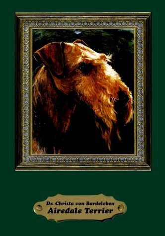 Airedale Terrier - Bild 1