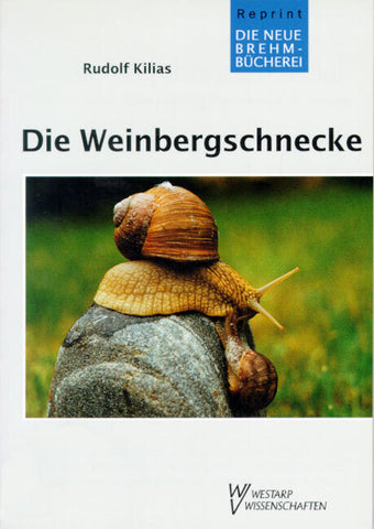 Die Weinbergschnecke - Bild 1