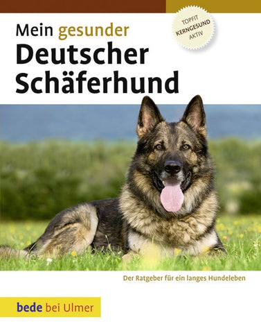 Mein gesunder Deutscher Schäferhund - Bild 1