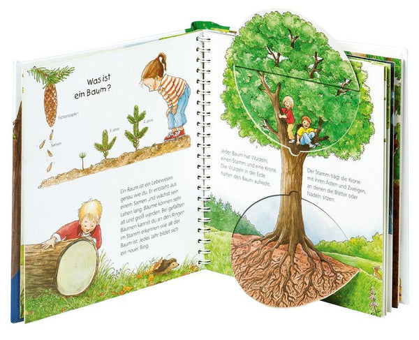 Wieso? Weshalb? Warum? junior, Band 6: Der Wald - Bild 3