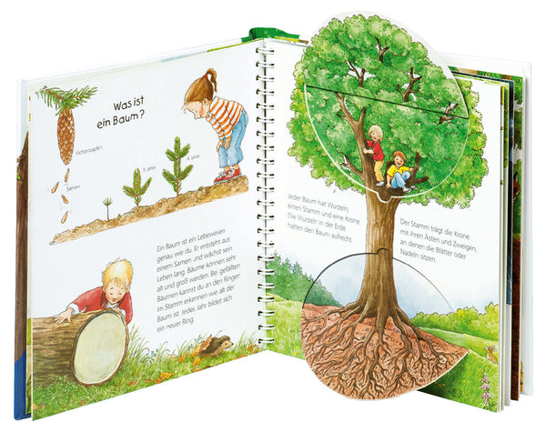 Wieso? Weshalb? Warum? junior, Band 6: Der Wald - Bild 4