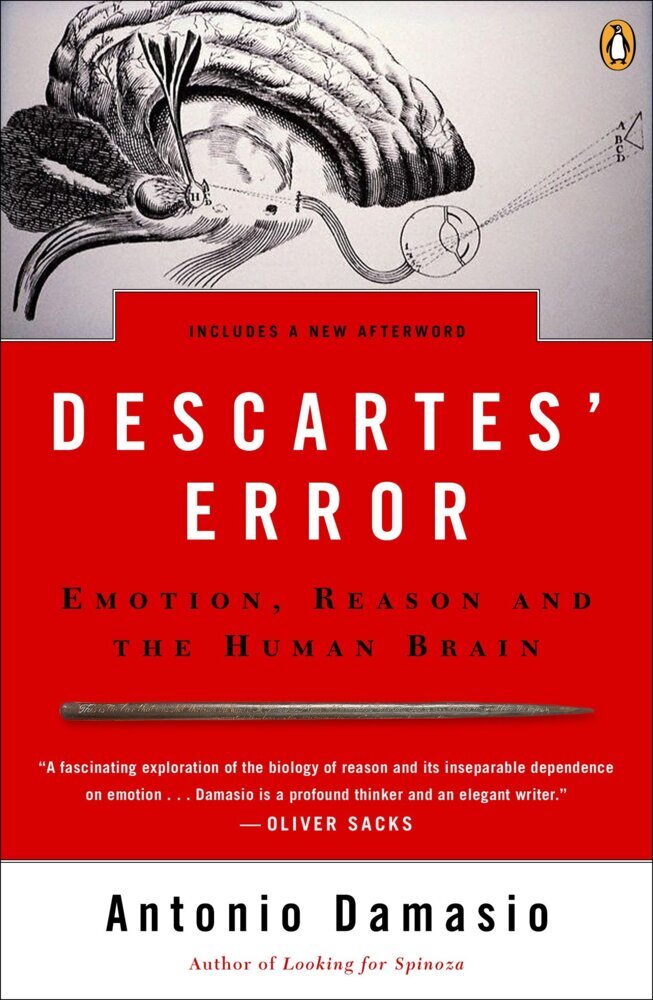 Descartes' Error - Bild 1