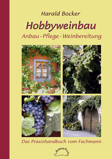Hobbyweinbau - Bild 1