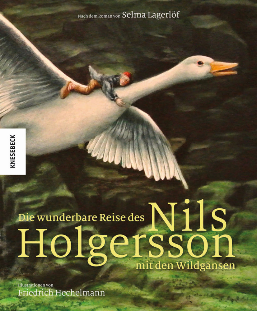 Die wunderbare Reise des Nils Holgersson mit den Wildgänsen - Bild 1