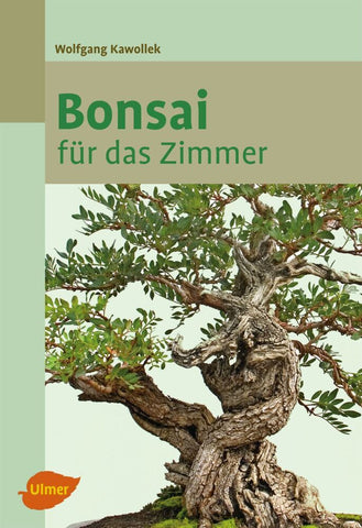 Bonsai für das Zimmer - Bild 1