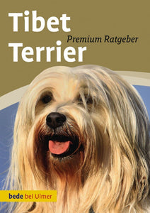 Tibet Terrier - Bild 1