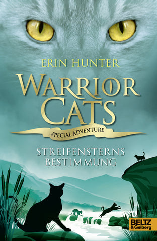 Warrior Cats, Special Adventure, Streifensterns Bestimmung - Bild 1