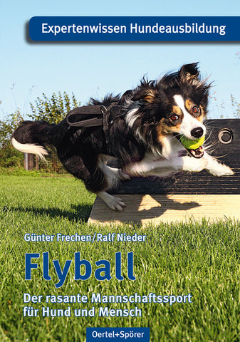 Flyball - Bild 1