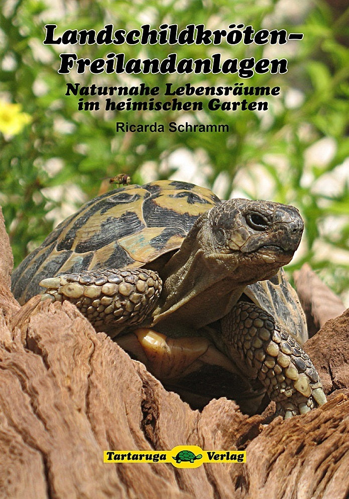 Landschildkröten-Freilandanlagen - Bild 1