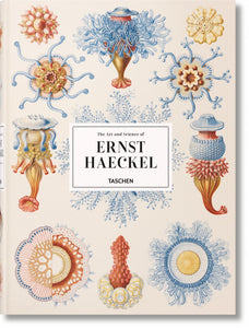 The Art and Science of Ernst Haeckel - Bild 1