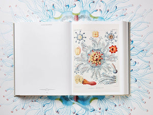 The Art and Science of Ernst Haeckel - Bild 10