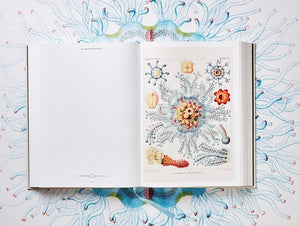The Art and Science of Ernst Haeckel - Bild 14