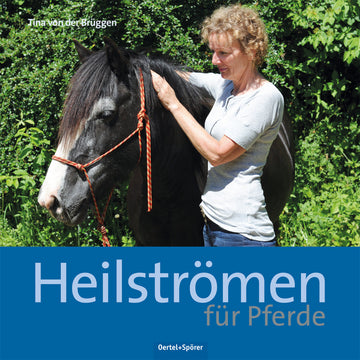 Heilströmen für Pferde - Bild 1