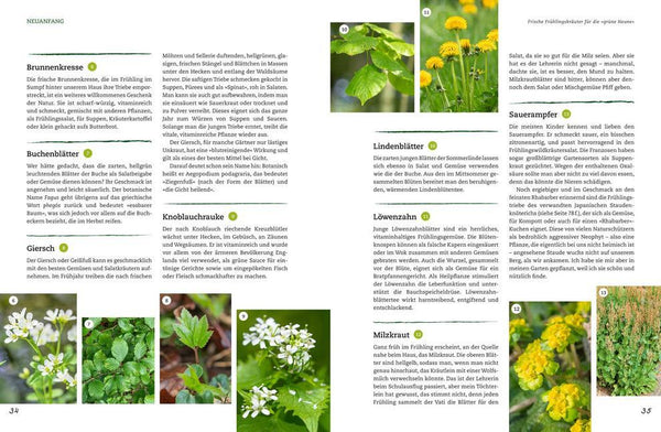 Der Selbstversorger: Mein Gartenwissen - Bild 2