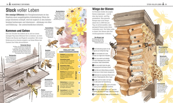 Das Bienen Buch - Bild 8
