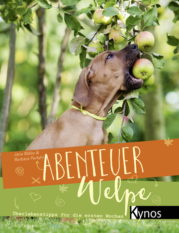 Abenteuer Welpe - Bild 1