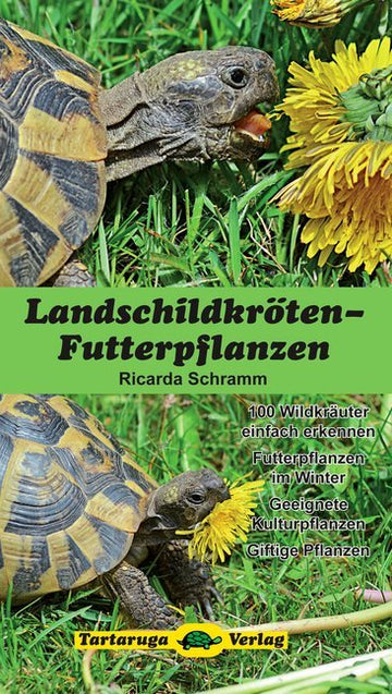 Landschildkröten-Futterpflanzen - Bild 1