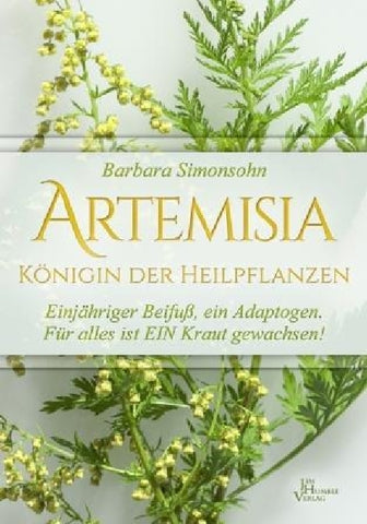 Artemisia - Bild 1