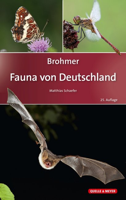 Brohmer - Fauna von Deutschland - Bild 1