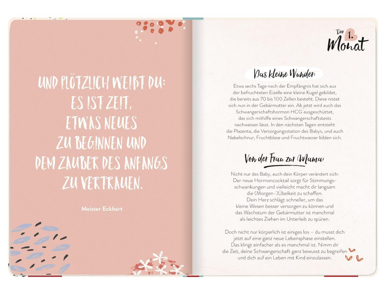 Mein Schwangerschaftstagebuch; . - Bild 1