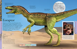 Wissen für clevere Kids. Dinosaurier und andere Tiere der Urzeit für clevere Kids - Bild 2