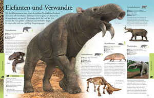 Wissen für clevere Kids. Dinosaurier und andere Tiere der Urzeit für clevere Kids - Bild 3