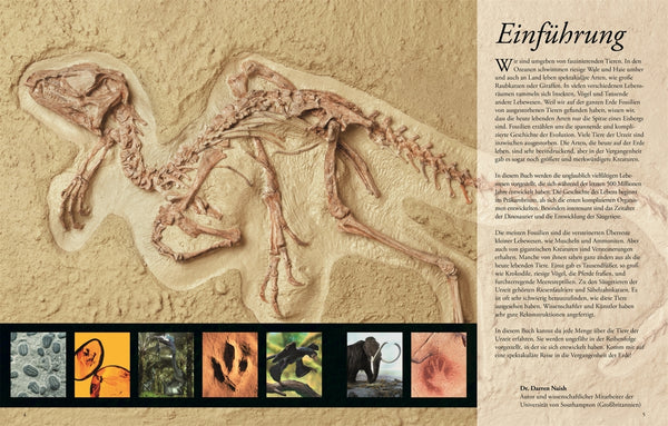 Wissen für clevere Kids. Dinosaurier und andere Tiere der Urzeit für clevere Kids - Bild 5