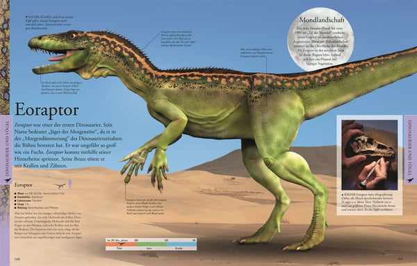 Wissen für clevere Kids. Dinosaurier und andere Tiere der Urzeit für clevere Kids - Bild 8