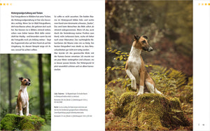 Hunde-Shooting - Fotografieren mit "Wau-Effekt" - Bild 5