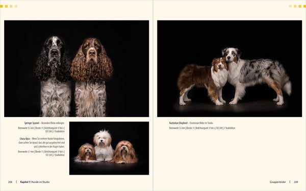 Hunde-Shooting - Fotografieren mit "Wau-Effekt" - Bild 8