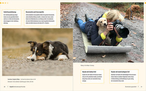 Hunde-Shooting - Fotografieren mit "Wau-Effekt" - Bild 10