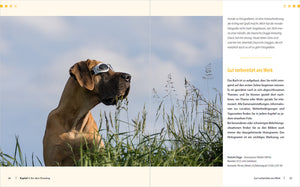 Hunde-Shooting - Fotografieren mit "Wau-Effekt" - Bild 12