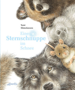 Eine Sternschnuppe im Schnee - Bild 1