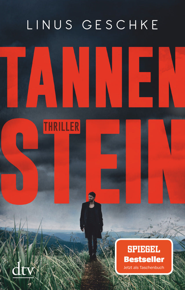 Tannenstein - Bild 1