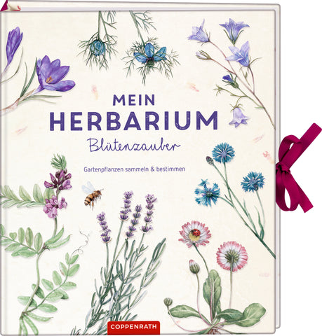Mein Herbarium: Blütenzauber - Bild 1