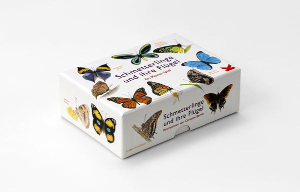 Schmetterlinge und ihre Flügel - Bild 2