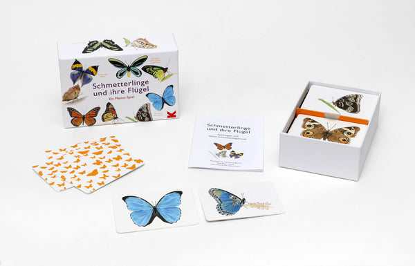Schmetterlinge und ihre Flügel - Bild 3