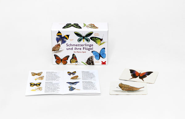 Schmetterlinge und ihre Flügel - Bild 6