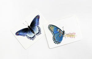 Schmetterlinge und ihre Flügel - Bild 7