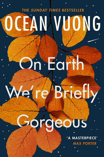 On Earth We're Briefly Gorgeous - Bild 1