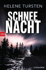 Schneenacht - Bild 1