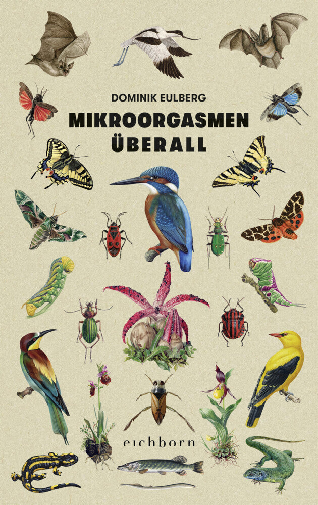 Mikroorgasmen überall - Bild 1