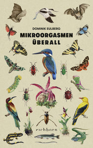 Mikroorgasmen überall - Bild 1